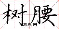 丁谦树腰楷书怎么写