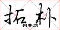 曾庆福拓朴行书怎么写