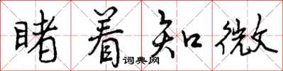 曾庆福睹着知微行书怎么写