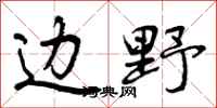 曾庆福边野行书怎么写