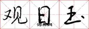 曾庆福观日玉行书怎么写