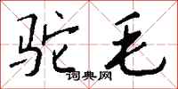 钱沛云驼毛行书怎么写