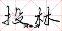 曾庆福投林行书怎么写
