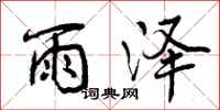 曾庆福雨泽行书怎么写
