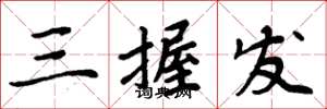 周炳元三握发楷书怎么写