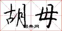 钱沛云胡母行书怎么写