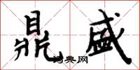 周炳元鼎盛楷书怎么写