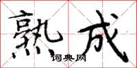 周炳元熟成楷书怎么写