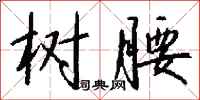 钱沛云树腰行书怎么写