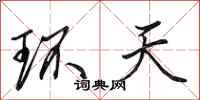 田英章环天行书怎么写