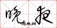 王冬龄晚夜草书怎么写