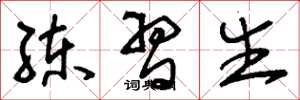 刘少英练习生草书怎么写