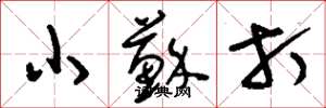 刘少英小苏打草书怎么写