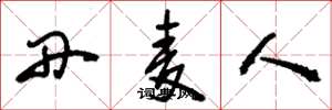 刘少英丹麦人草书怎么写
