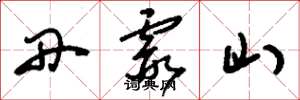 刘少英丹霞山草书怎么写