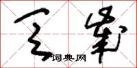 刘少英乏岁草书怎么写