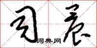 刘少英司晨草书怎么写