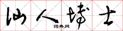 刘少英仙人博士草书怎么写
