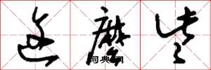 刘少英这么些草书怎么写