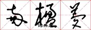 刘少英两楹梦草书怎么写