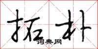 段相林拓朴行书怎么写