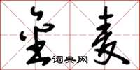 刘少英金麦草书怎么写
