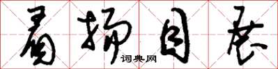 刘少英眉扬目展草书怎么写