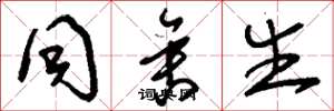 刘少英同舍生草书怎么写