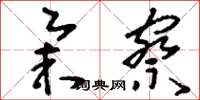 刘少英举察草书怎么写