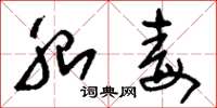 刘少英胎毒草书怎么写