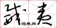 刘少英威夷草书怎么写