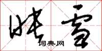刘少英映雪草书怎么写