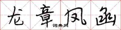 段相林龙章凤函行书怎么写