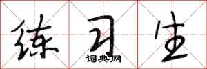 段相林练习生行书怎么写