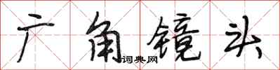 段相林广角镜头行书怎么写