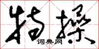 刘少英特操草书怎么写