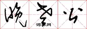 刘少英晚老公草书怎么写