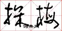刘少英探梅草书怎么写