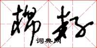 刘少英棉籽草书怎么写