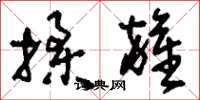刘少英揉杂草书怎么写