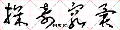 刘少英探奇穷异草书怎么写