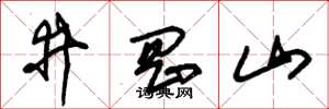 朱锡荣井冈山草书怎么写