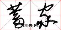 刘少英蓄家草书怎么写