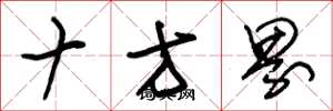 朱锡荣十方界草书怎么写