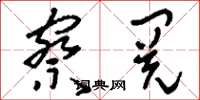 刘少英察阅草书怎么写