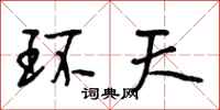段相林环天行书怎么写