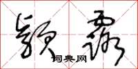 王冬龄颖露草书怎么写