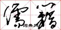 刘少英儒籍草书怎么写
