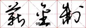 刘少英薪金制草书怎么写