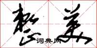刘少英整美草书怎么写